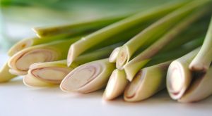 substitute dry lemongrass for fresh