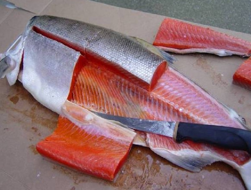 how to fillet a fish trout