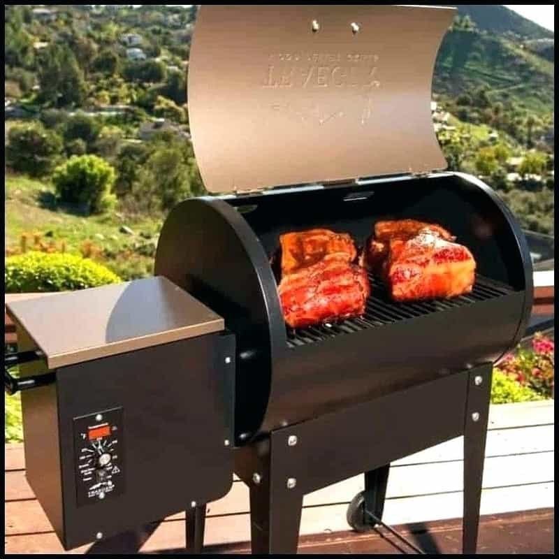 traeger renegade pro review