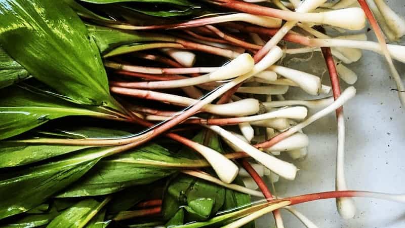 Ramps