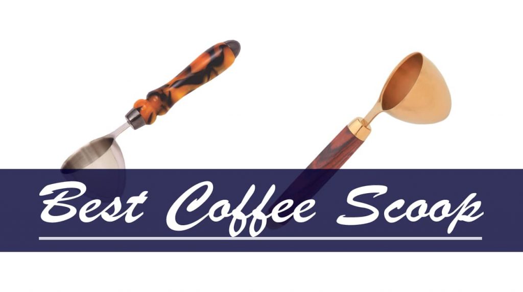 Best Coffee Scoop Reviews