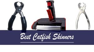 Best Catfish Skinners